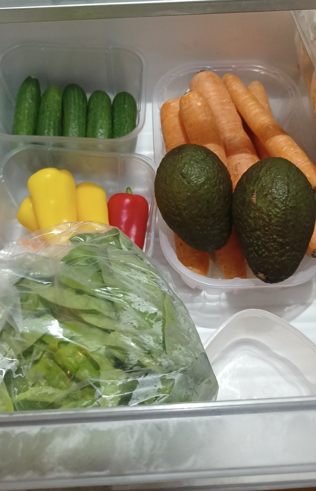 Fresh vegetables including cucumbers, carrots, avocados, and lettuce in refrigerator